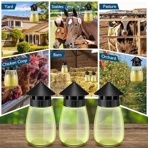 Qualirey Reusable Outdoor Hanging Fly Trap Bottles with Bait Refill, Non Toxic Flies Trap Jar, Fly Catcher Killer Flying Control for Outside Farms, Stables, Barns, Garden, Patio (3 Pack,Design)