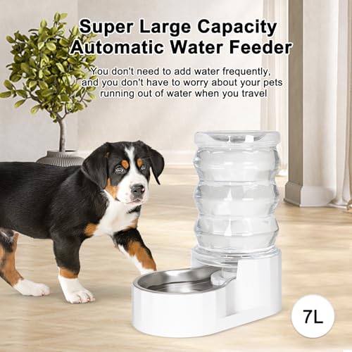 RIZZARI 6.5L Stainless Steel Dog Water Dispenser:Anti Spill for Medium Dogs | Stainless Steel Bowl / No Electricity / Gravity Auto Refill / Stable Base / Easy Cleaning / Home Use - color: White, size: 6.5L