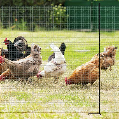 Non Electric Fence Netting 40" x100', Boundary Fence with Double Spiked Posts, Portable Poultry Fencing for Dogs, Chickens, Ducks, Turkeys in Backyard, Garden, Farm