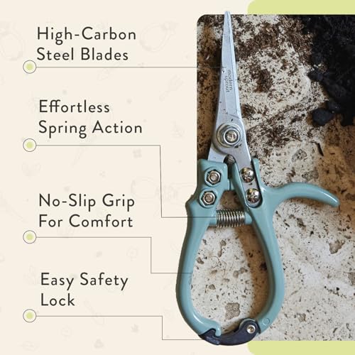 Modern Sprout Pruning Shears- Garden Snips-Herb Scissors- Chartreuse 1-Pack | Lightweight Gardening Tool - Durable Carbon Steel Blade W/Easy-Lock - Gardening Supplies - Flower Cutter - Reusable Holster - color: Chartreuse