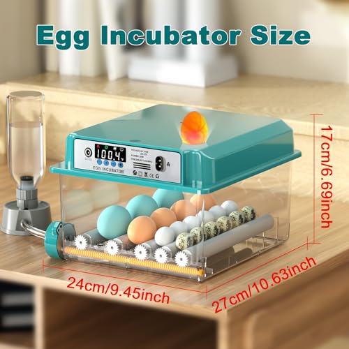 CoInceptus 16 Eggs Incubators for Hatching Eggs, Egg Incubator with Automatic Egg Turning and Temperature Control, Chicken Egg Incubators with Egg Candler for Duck Goose Pigeon Quail - size: 16 Egg