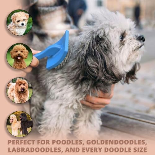 Slicker Brush for Dogs, Large Doodle Brush with Wooden Handle for Goldendoodle, Labradoodle & Poodles, Extra Long Pins for Dematting, Removing Mats & Thick Curly Coats(Blue,Large) - color: Blue