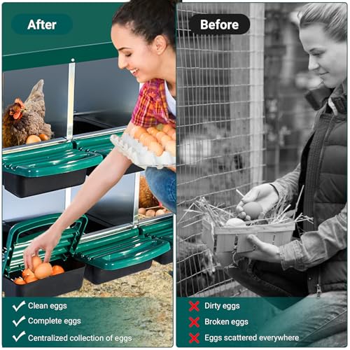 Chicken Nesting Box, 10 Hole 2 Layer Hen Nest Boxes, Roll Away Eggs Laying Boxes,Cleanable Pull Out Hen Roosting Boxes - size: Green- 10 compartment