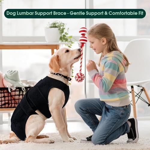 Dog Back Brace for IVDD Recovery, Adjustable Dog Spine Support Harness for Dachshund Corgi French Bulldog Pug, Pain Relief Back Protector for Senior,Post‑Surgery,Long‑Bodied & Overweight Dogs, XL - size: X-Large