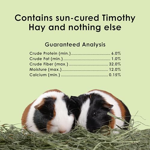 Kaytee Timothy Hay, High Fiber for Rabbits, Guinea Pigs, 48 Ounces | Supports digestive health. Hand-selected rabbit hay. Guinea pig hay, chinchilla hay, pesticide free - size: 12 Pound (Pack of 1)