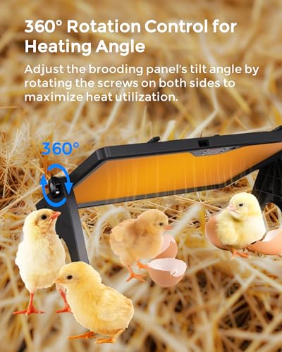 Digital Brooder Heater for Chicks, Remote Control | 180W safe radiant heat, adjustable height, digital thermostat, UL listed 110V, for chicks, ducklings, quail, backyard poultry