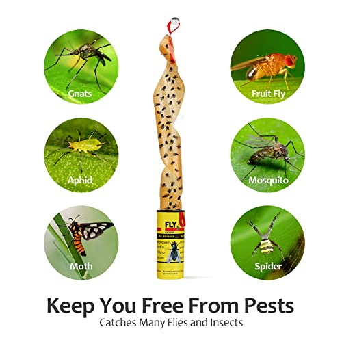 Fly Traps for Indoors Outdoor, Fly Paper Strips Sticky Hanging, Fruit Fly Strips,Fly Tape Catcher Ribbon, Fruit Fly Gnat Trap Killer Fly Traps for Inside Home(35 Pack) - style: Fly Strips