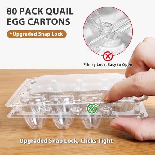 80 Pack Quail Egg Cartons 12 Grid, Heavy Duty Snap Lock Clear Plastic Small Egg Container, Stackable Bulk Tray for Quail Pigeon Button Eggs - Not for Chicken Eggs