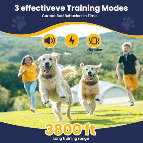 Wireless Dog Fence, Electric Fence for Dogs, Training Collar with Remote System 185 Days Standby Time, Waterproof & Flash Light Portable Dog Perimeter Collar with 3 Training Mode, Upgrade Black 1 PACK