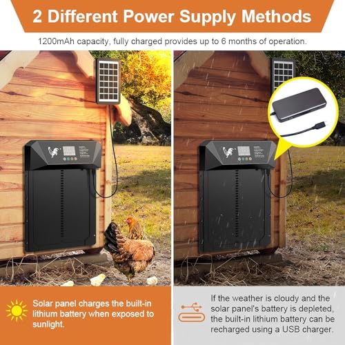 Large Size Automatic Chicken Coop Door Solar Powered,15.9"H x 12"L x 2.68"W,Aluminum Alloy Chicken Door with LCD Display,Timer & Light Sensor,4 Control Modes,Anti-Pinch Coop Door with Remote Control