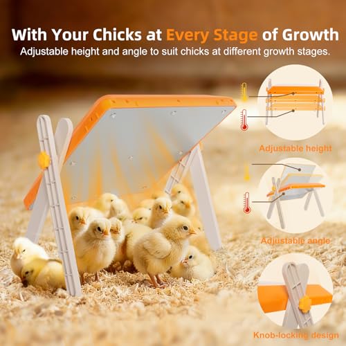 Chick Brooder Heating Plate - Briidea 80W Brooder Heater with 3 Adjustable Temperature, 10 PET Cleaning Film, Adjustable Height & Angle, Warmth Like Hen, 10" x 10" for 15 Small Poultry - color: 3 Adjustable Temperature