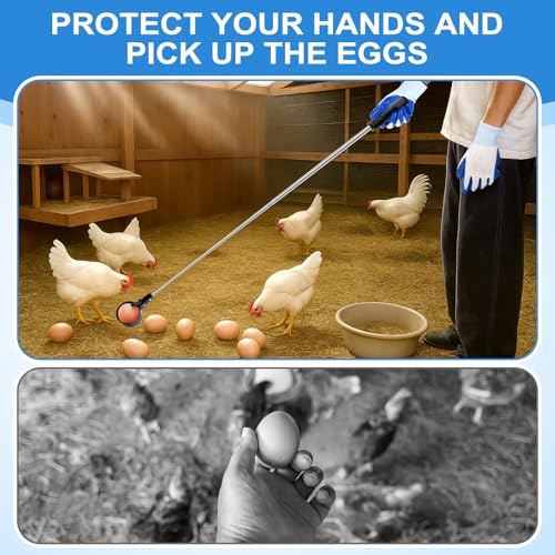 Lounsweer Egg Grabber for Chicken Eggs,15.7-76inch Extendable Stainless Steel Egg Picker Tool with (1pcs Extended Handle&1pair Non-Slip Gloves) for Picking from Coop Poultry Nest Farm Use (Blue) - color: Blue