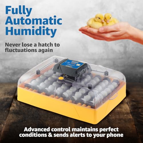 Brinsea Ovation 56 EX Connect Fully Automatic Smart Egg Incubator with App | 50+ years of innovation! Ultimate smart incubator with app-driven controls and real time alerts gives you total peace of mind - style: Connected