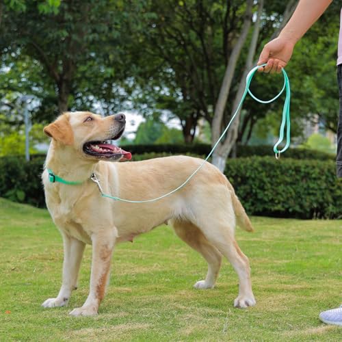 Waterproof Dog Collar, Easy to Clean Rubber Dog Collars with Quick Release Buckle Fits Small Medium or Large Dogs (Mint Green, S < 9.5-14.1 inch) - color: Mint Green, size: S (9.5-14.1 inch)