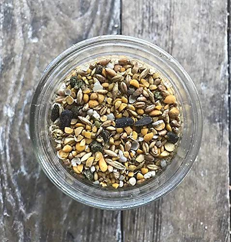 Non-GMO Whole Grain Layer Blend 16% - Chicken Feed for Laying Hens and Ducks - Includes Essential Oils, Herbs, Oyster Shells, Vital Minerals, and Omega 3, 25lb - size: 25 Pound (Pack of 1)