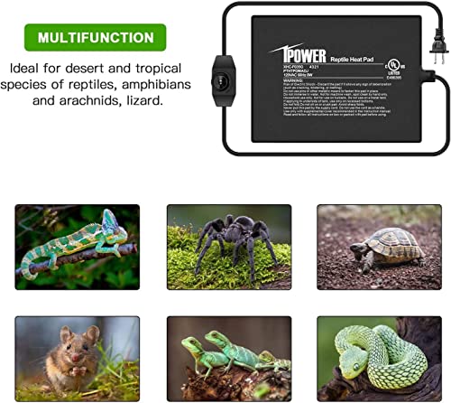 iPower 6 by 8-Inch Reptile Heat Mat with Temperature Adjustable Controller Knob, LCD Digital Aquarium Thermometer, Under Tank Warmer Terrarium Heat Pad for Reptiles and Amphibians - size: 6 X 8 Inch, style: Pad with Adjust Knob+ Thermometer