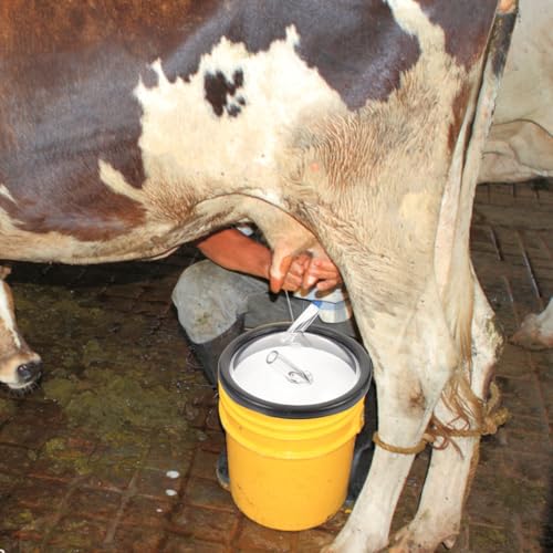 SUPVOX Transparent Milk Bucket Lid Milking Machine Bottle Lid with Two Inlets for Hose and Air Replaceable Milk Bucket Cover for Cow Milker Machine Leak-Resistant Replacement 7.87 X 7.87 X 3.14 in