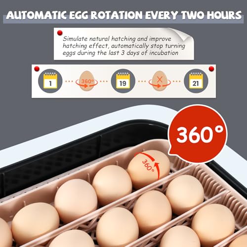 Sailnovo 70 Egg Incubator for Hatching Eggs with Automatic Turning and Auto Humidification, Temperature Control, Egg Candler, Incubator for Chicken Duck Quail Eggs, 23.23'' x 16.34'' x 7.09''