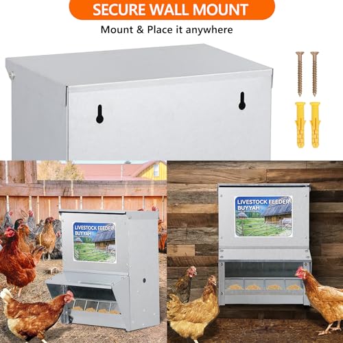 Automatic Chicken Feeder 30lb Capacity | Galvanized Metal Poultry Feeder, Waterproof Chicken Feeder, Suitable for Poultry, Geese, Quails, Bantams, Ducks and Turkey