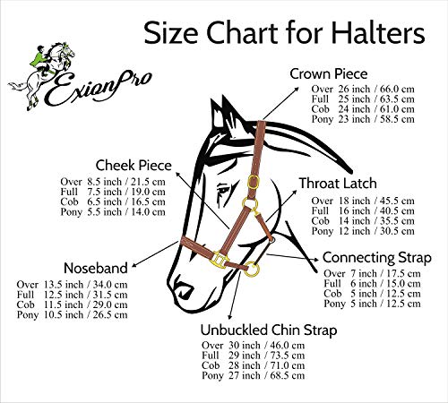 Exion Leather Soft Padded White Halter and Leather Lead with Chain Combo | Adjustable Padded Leather Halter with Snap | Padded Crownpiece | Black/Havana Brown Leather | Horse/Cob/Warmblood/Pony - color: Black, size: Cob (Medium Size)-Vegetable Tanned Leat