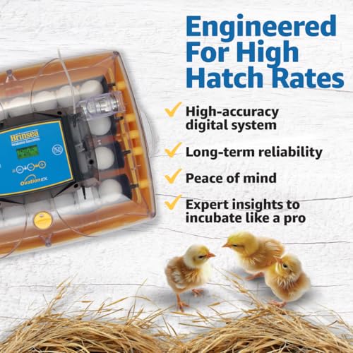 Brinsea Ovation 28 EX Egg Incubator, Humidity Control & Educational Book | 50+ years of trusted precision! Built-in automatic humidity, auto-turn & temp alarms take the stress out of hatching 28 eggs - style: With Book