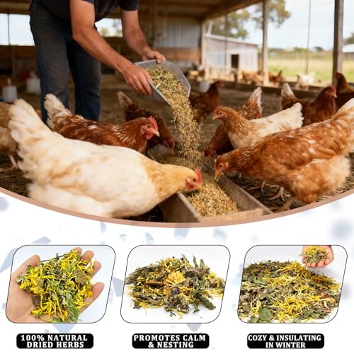 Nesting Herbs for Chicken Coop - 32 oz Natural Chicken Treats, Poultry Feed Botanical Mix, Plant-Based Coop Snacks for Daily Wellness, Feather Quality, Egg Production (2 Pound) - size: 2 Pound (Pack of 1)