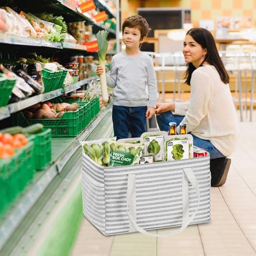 LHZK 2 Pack Utility Tote Bag with Metal Wire Frame and the Sides Rinforced, Large Tote Bag with Handle, Reusable Grocery Bags Foldable, Beach Bag, Car Tote (Gray, 18.5''x11.8''x11.5'') - color: Gray, size: 18.5''x11.8''x11.5''-2 Pack