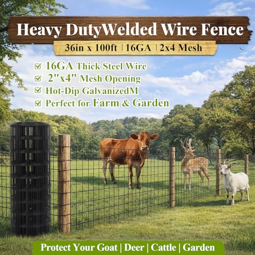 Gisafai 36in x 100ft Welded Wire Fence, 2 Inch x 4 Inch 16 Ga, Galvanized Metal Garden Fence Roll Wire Mesh Netting for Goat Deer Cattle Animal Enclosures and Yard Vegetable Plant Protection, Black | Metal Chicken Wire Fence, Hardware Cloth Wire Roll, Cag