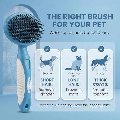 Round Bristle Pet Brush for Dogs and Cats - Soft Dog Brush for Grooming Short or Long Hair - Gentle Tool for Sensitive Skin Removes Dander, Dirt, and Detangles (Blue) - color: Blue
