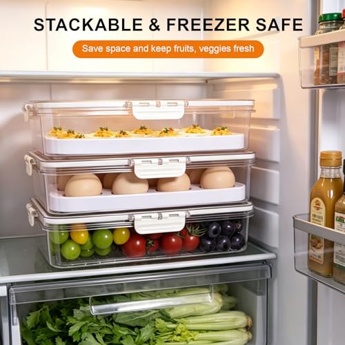 2 Pack Original Deviled Egg Platter Containers with Lid & Handle (White) | Removable Deviled Egg Carrier, 32 Extra-Deep Egg Wells, BPA-Free Thick Plastic, Portable Tray for Easter Potluck Party Picnic - color: Crystal Clear 2 Pack