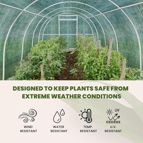 Shade Cloth Roll (6'x100ft - 40% - Green) | Green HDPE UV Resistant Breathable Eyelets Sun Protection for Greenhouse Garden Fence Pergola Patio Flower Plant Kennel - size: 6'x100ft - 40% - Green