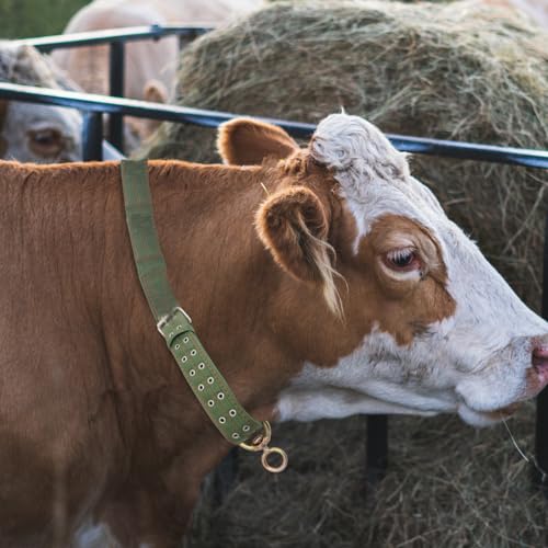 DOITOOL Thickened Canvas Livestock Collar 51.18 Inch Adjustable Neck Strap with Explosion-Proof Buckle for Cattle Calf Sheep Horse Farm Use