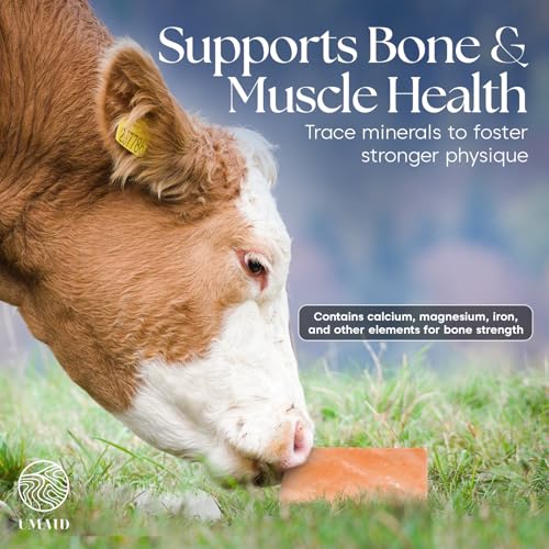 UMAID Himalayan Salt Block – 8x4x2 2-Pack – 100% Natural Mineral Salt Lick for Horses, Cows, Goats & Sheep – Animal Feed Supplement, Long-Lasting Salt Chunks - size: 5 Pound (Pack of 2)