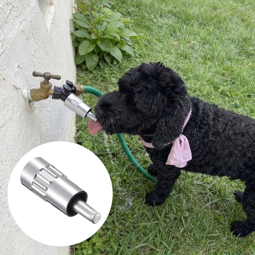 Qinyoung 1 Pack Dog Waterer Faucet, 3/4" Hose Spigot Attachment Outdoor | Lick-activated Fountain Design, Anti-leak Tape Included, For Dogs Livestock Pets, Metal Construction, Outdoor Yard Use