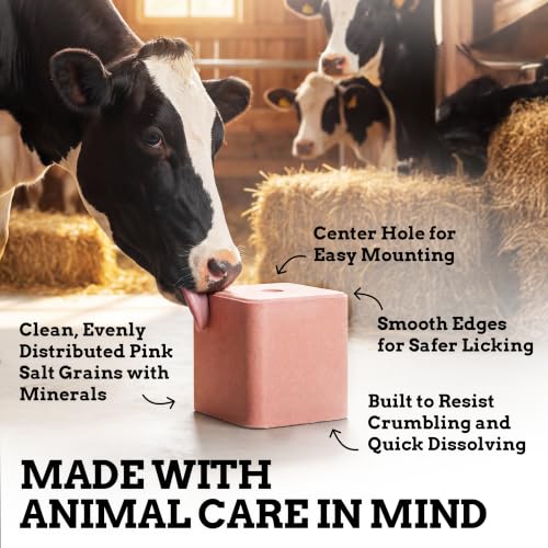 Compressed Salt Lick for Livestock & Wildlife, 11 lb - size: 11 Pound (Pack of 1)