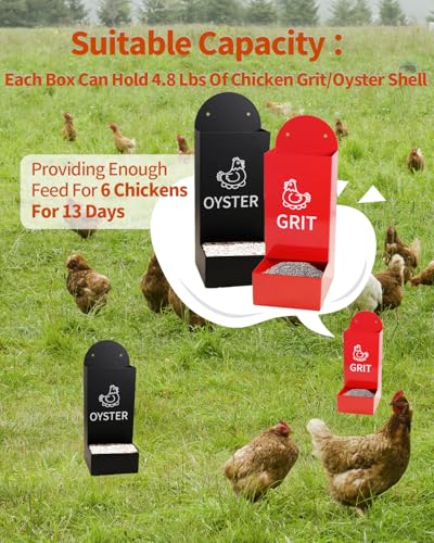 Chicken Oyster Shell Feeder and Grit Feeder Metal Chicken Feeder Chicken coop Accessories Automatic Chicken Feeder