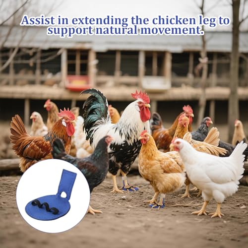 2 Pack Poultry Leg Bands for Chickens, Chicken Splint with Toe Separator, Chicken Leg Bands Specifically Designed for Injured Roosters and Hens, Recovery Aid for Broken, Sprained, Splayed Legs