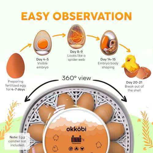 Okkobi M12 Egg Incubator with Automatic Turner and Humidity Control - 12/24 Eggs, 360° View, Easy to Use and Clean - Incubadora de Huevos de Gallina - Made for US - White & Orange - color: Orange