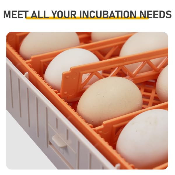 56-Egg Incubator with Automatic Turner, LED Candler, Auto Temp and Humidity Control, 110V, 16.14x16.14x6.69 Inch