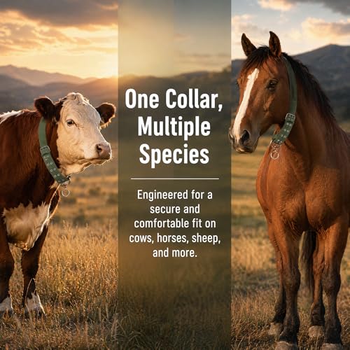 DOITOOL Cow Collar Canvas Calf Cattle Neck Collar, Adjustable Nylon Thickened Livestock Traction Neck Strap with 2 Rows Metal Buckle for Farm Goat Horse Goat Sheep Camel, Green