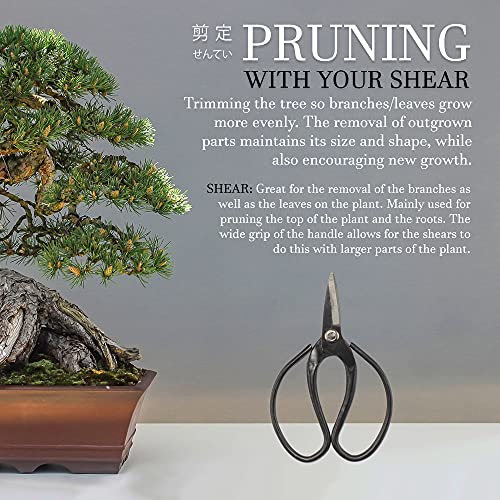 BambooMN Bonsai 7" Heavy Duty Butterfly Shear - 1 Piece - color: 7" Heavy Duty Butterfly Shear, size: 1