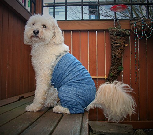Original Dog Pants, E-Collar Alternative, Dog Diaper, Pajamas - Large, Blue - color: Blue, size: Large