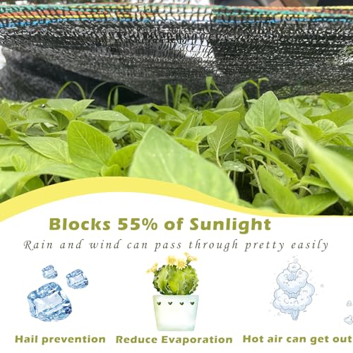 55% Shade Cloth for Garden, Black Shade Net 6.5X12 FT | Sunblock Mesh UV Resistant Net for Vegetables Flowers Greenhouse Raised Bed, Plant Shade Cover from Sun - size: 6.5X12 FT