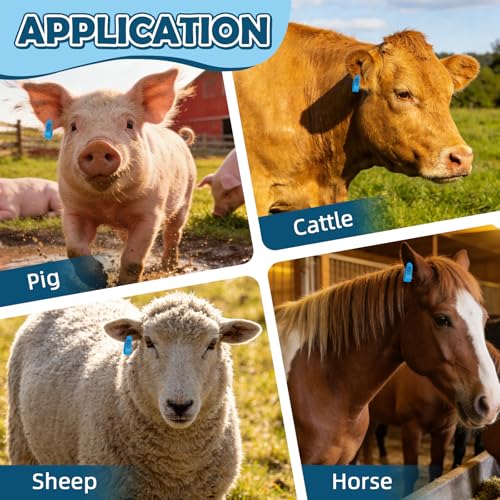 100PCS Livestock Ear Tags Sheep Goat 001-100 Numbered with Applicator Kit | with Punch Plier Tool, Laser Printed Plastic Tags for Goats Sheep Pigs Farm Herd Management Identification (Blue) - color: Blue
