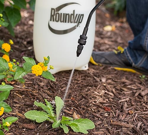 Roundup 190260 2-Gallon Lawn and Garden Sprayer for Controlling Insects and Weeds or Cleaning Decks and Siding