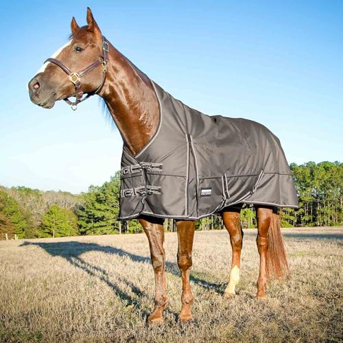 Jeffers Poplar Head Defense 1680 Denier Turnout Blanket with Extended Neck Design, Plymouth Brown 66"- 240g Polyfill, Waterproof, Breathable Horse Blanket, Ideal Protection for Winter, Medium Weight - size: 66 in