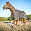 Jeffers Poplar Head Defense 1680 Denier Turnout Blanket with Extended Neck Design, Plymouth Brown 66"- 240g Polyfill, Waterproof, Breathable Horse Blanket, Ideal Protection for Winter, Medium Weight - size: 66 in