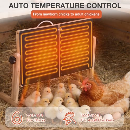 Chicken Coop Heater with Temperature Control, 200W Chick Heater with Adjustable Temp (70-190℉) for Winter, 2 Heating Plates, Foldable Large Size Coop Heater (Natural Wood) - color: Natural