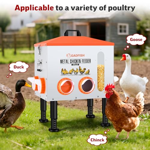55LBS Large Capacity Automatic Chicken Feeder - Upgraded Window Design Allows Viewing of Feed Conditions, 8 Feeding Ports, Anti-Waste Design, Height-Adjustable Legs & Secure