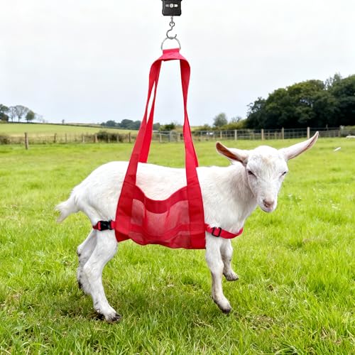 Calf Weighing Sling, Livestock Weight Sling for Lambs, Goats, Sheep & Piglets | Heavy Duty Animal Weight Scale Harness for Farm Use (Red) - color: Red